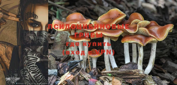 метадон Балабаново