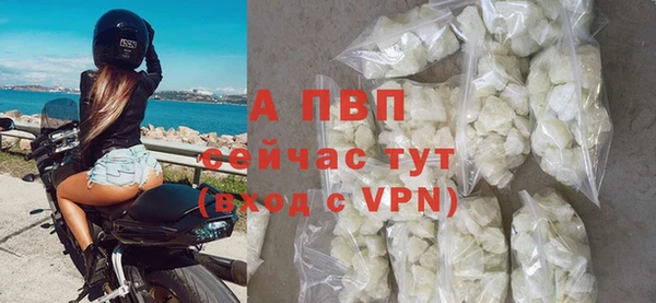 не бодяженный Белокуриха