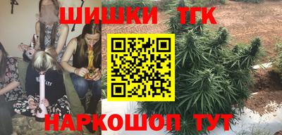 хмурый Кингисепп