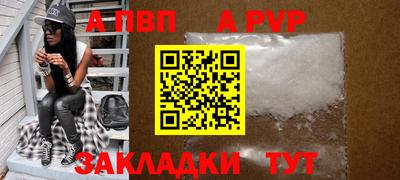 хмурый Кингисепп
