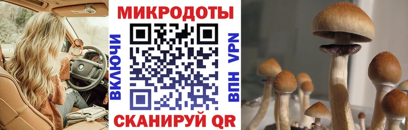 Псилоцибиновые грибы мухоморы  блэк спрут   Сегежа  купить наркотики цена 
